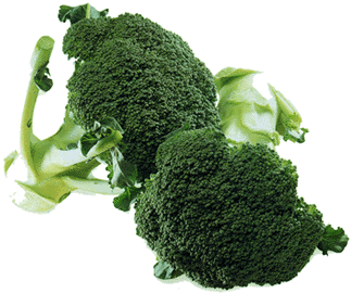 broccoli3e.gif